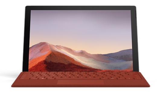 净潭乡清洁和维护 Surface